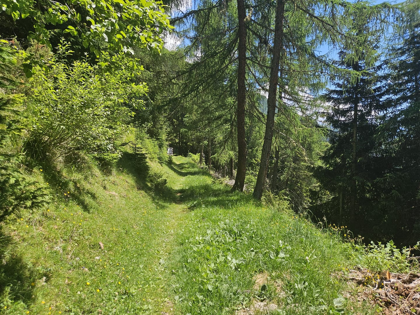 Bonn Matreier Hütte 2.750 m (Wanderung) Bonn Matreier Huette 2.750 m Wanderung 2
