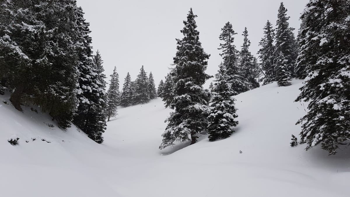 Schönberg (Skitour)