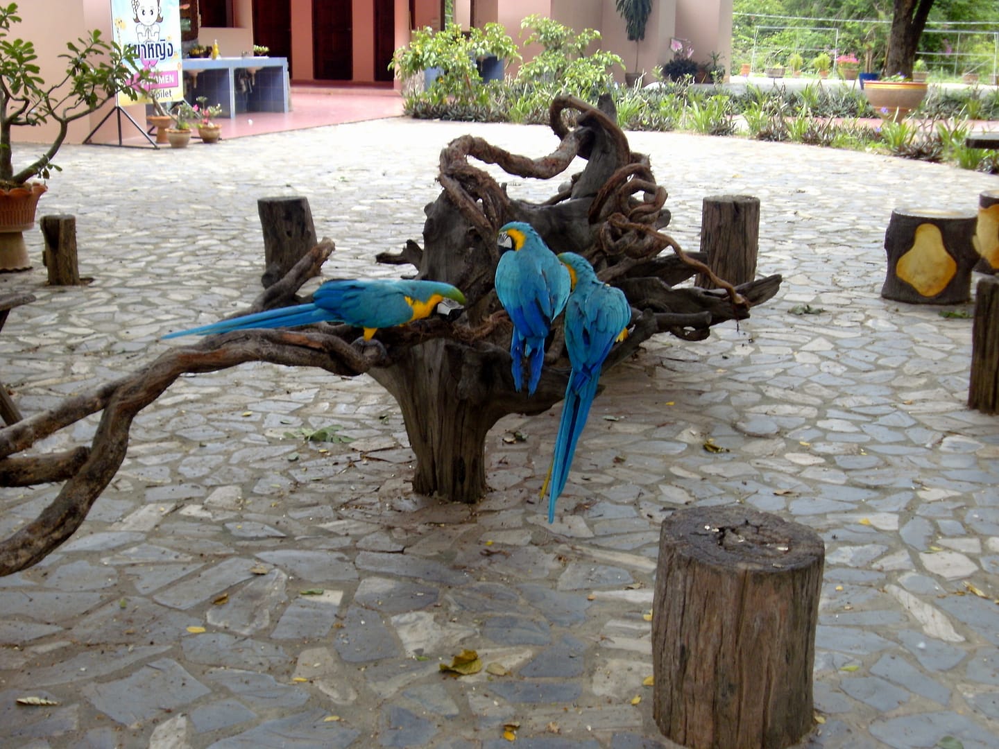 Kanchanaburi Erlebnispark