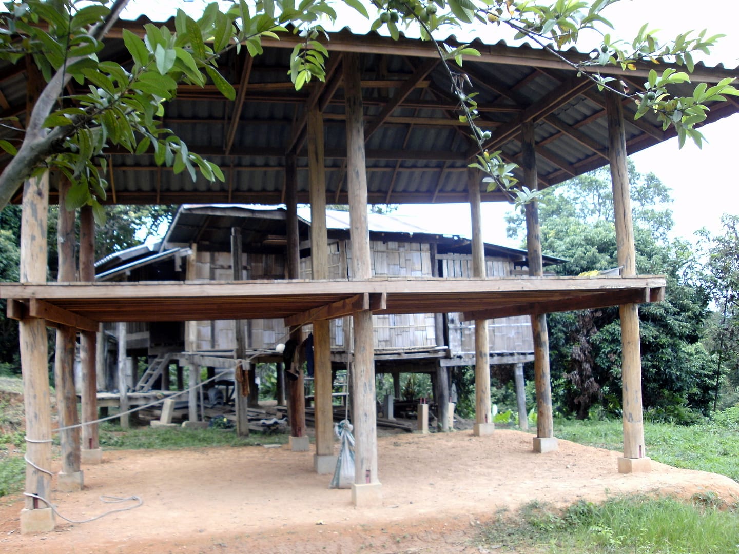 Chiang Mai Dschungel