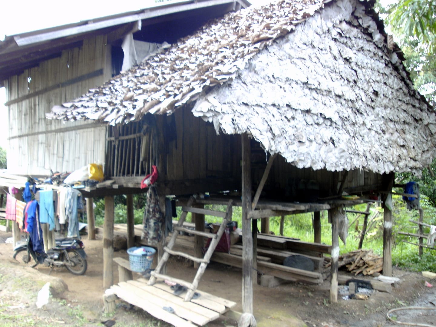 Chiang Mai Dschungel