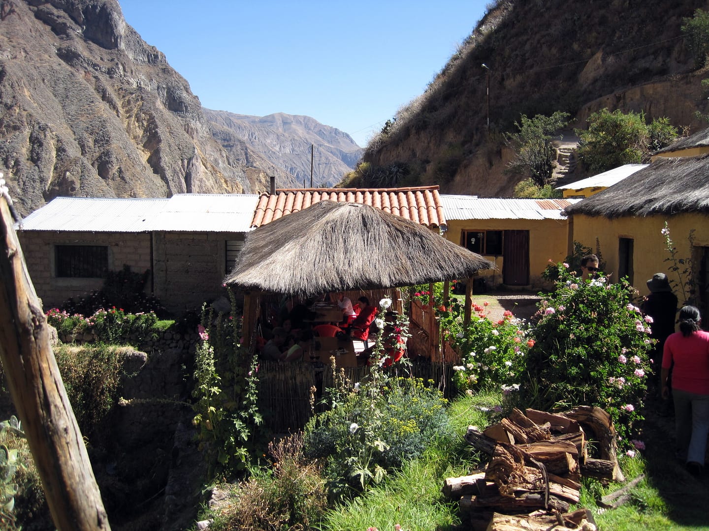 Colca canyon