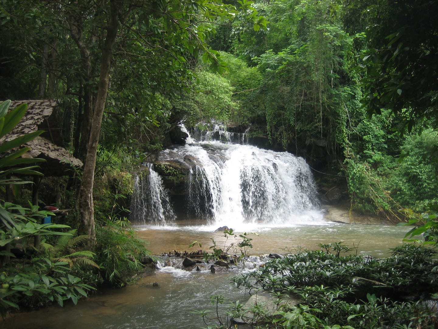 Chiang Mai Dschungel