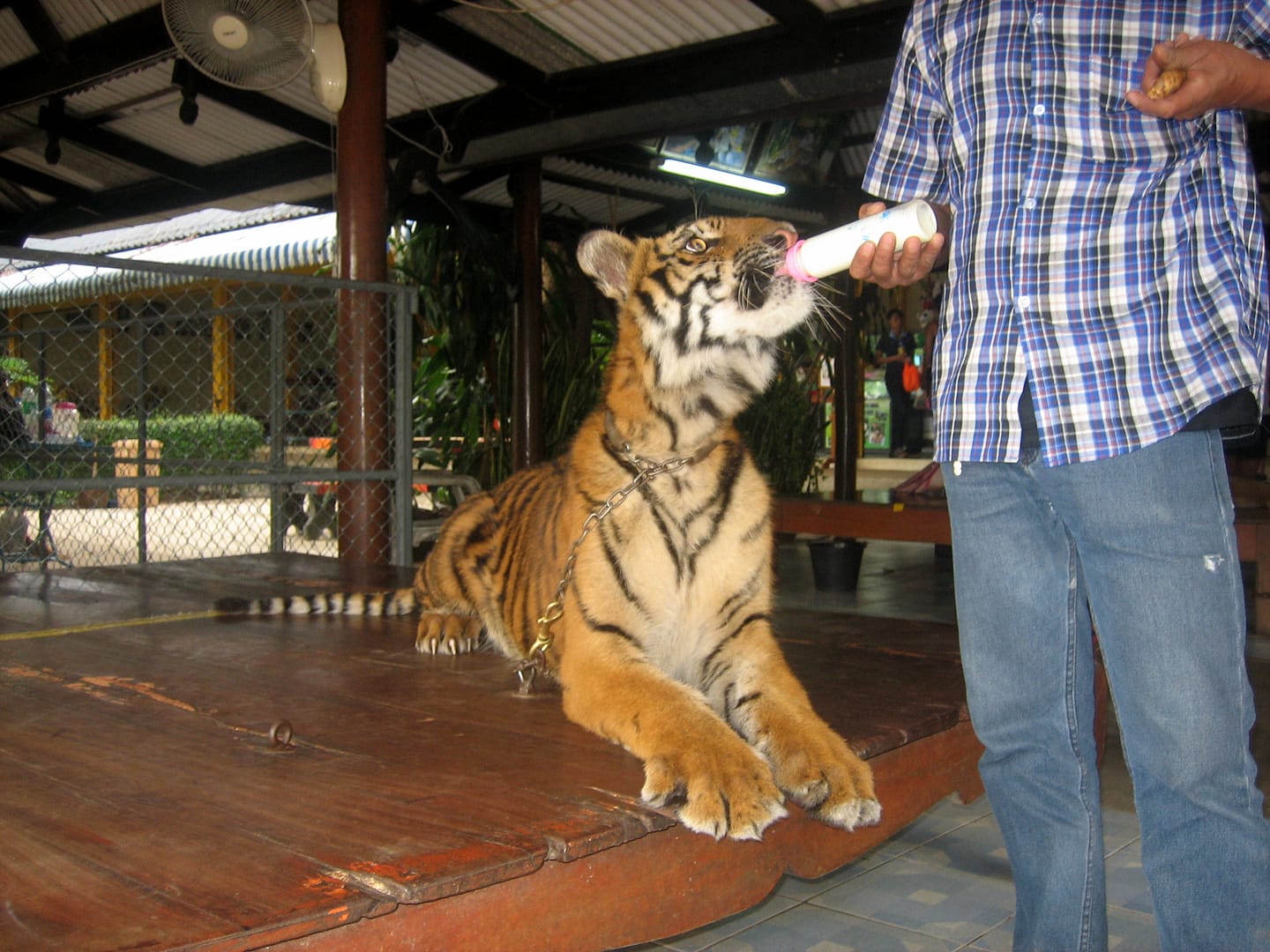 Kanchanaburi Erlebnispark