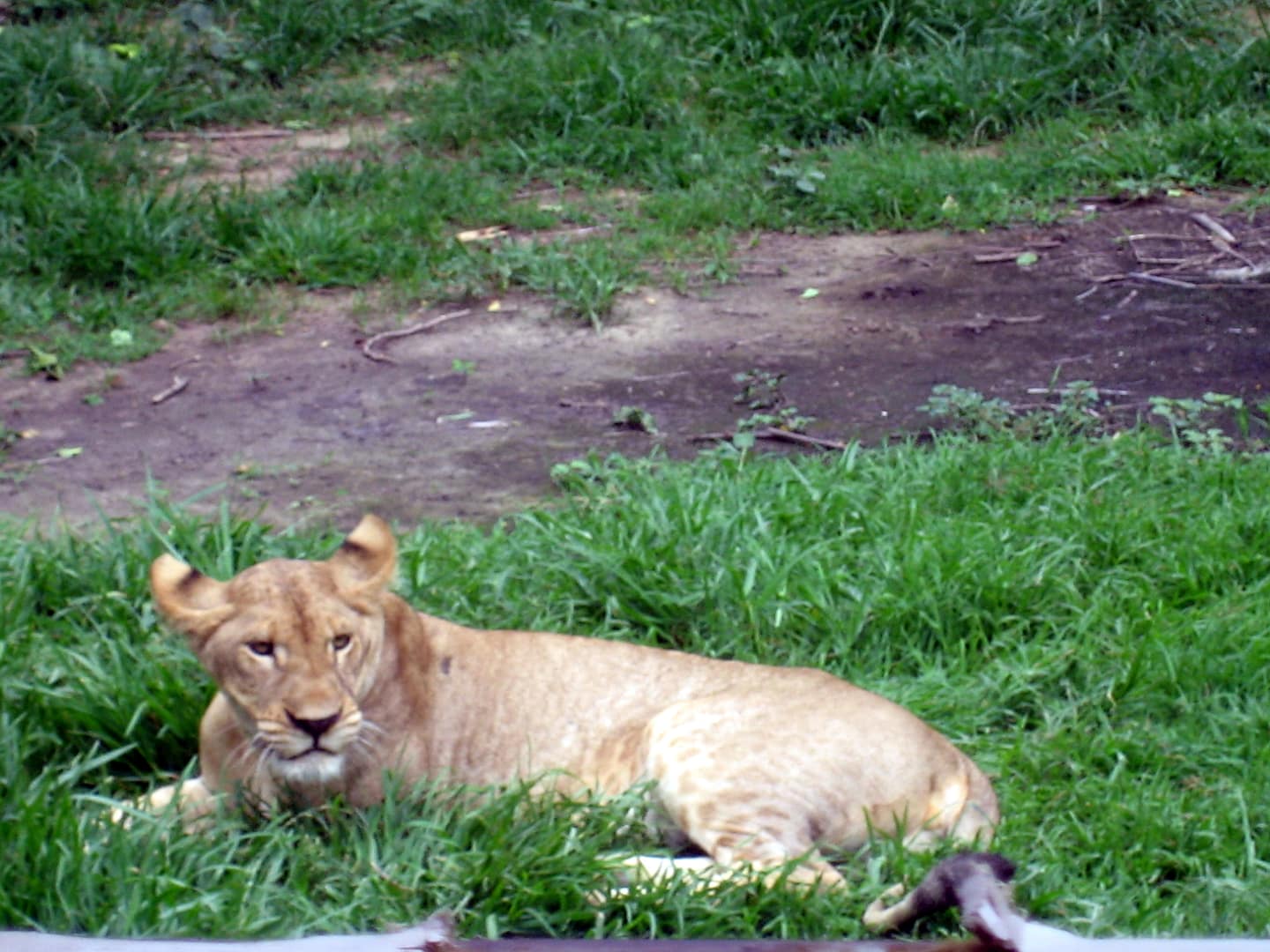 Kanchanaburi Erlebnispark