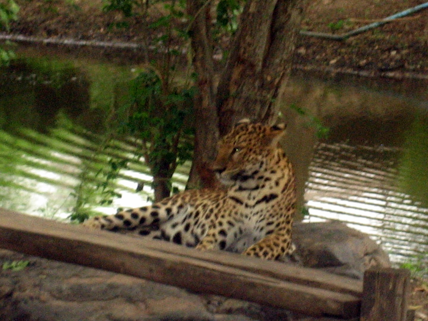 Kanchanaburi Erlebnispark