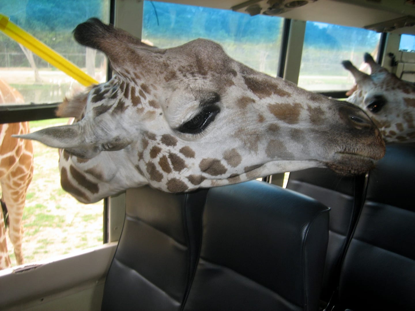 Kanchanaburi Erlebnispark