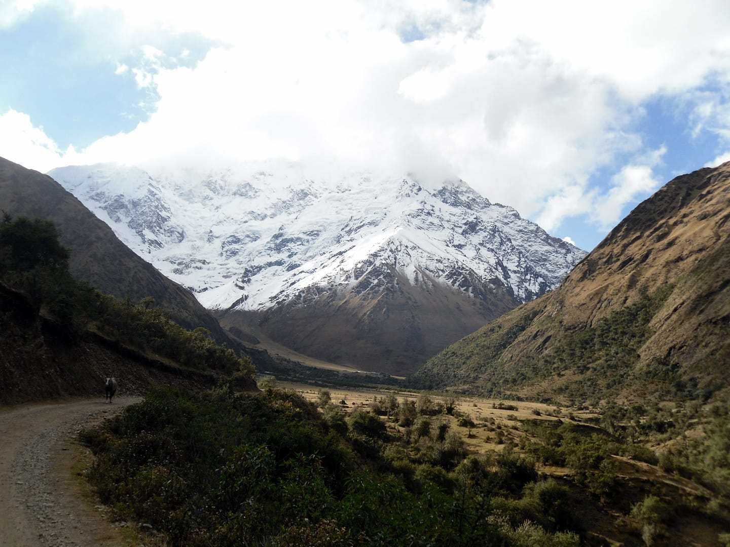Salkantay Trek