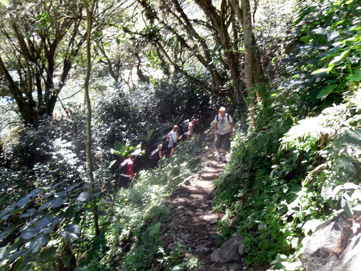 Salkantay Trek