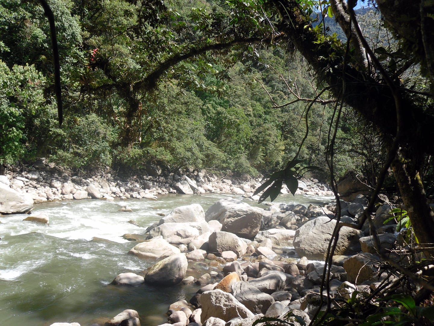 Salkantay Trek