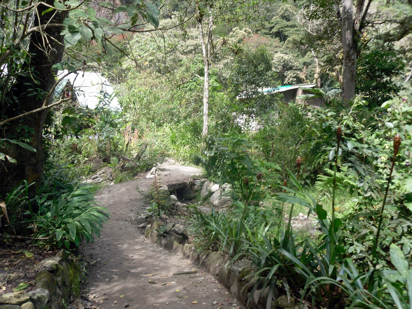 Salkantay Trek