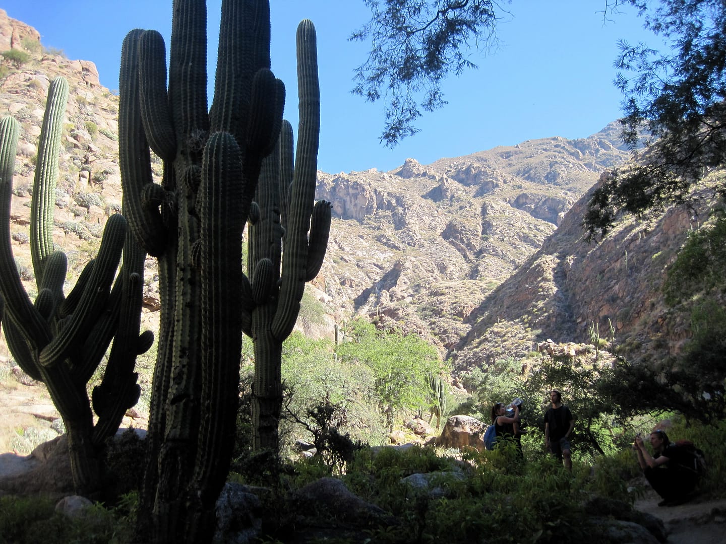 Cafayate