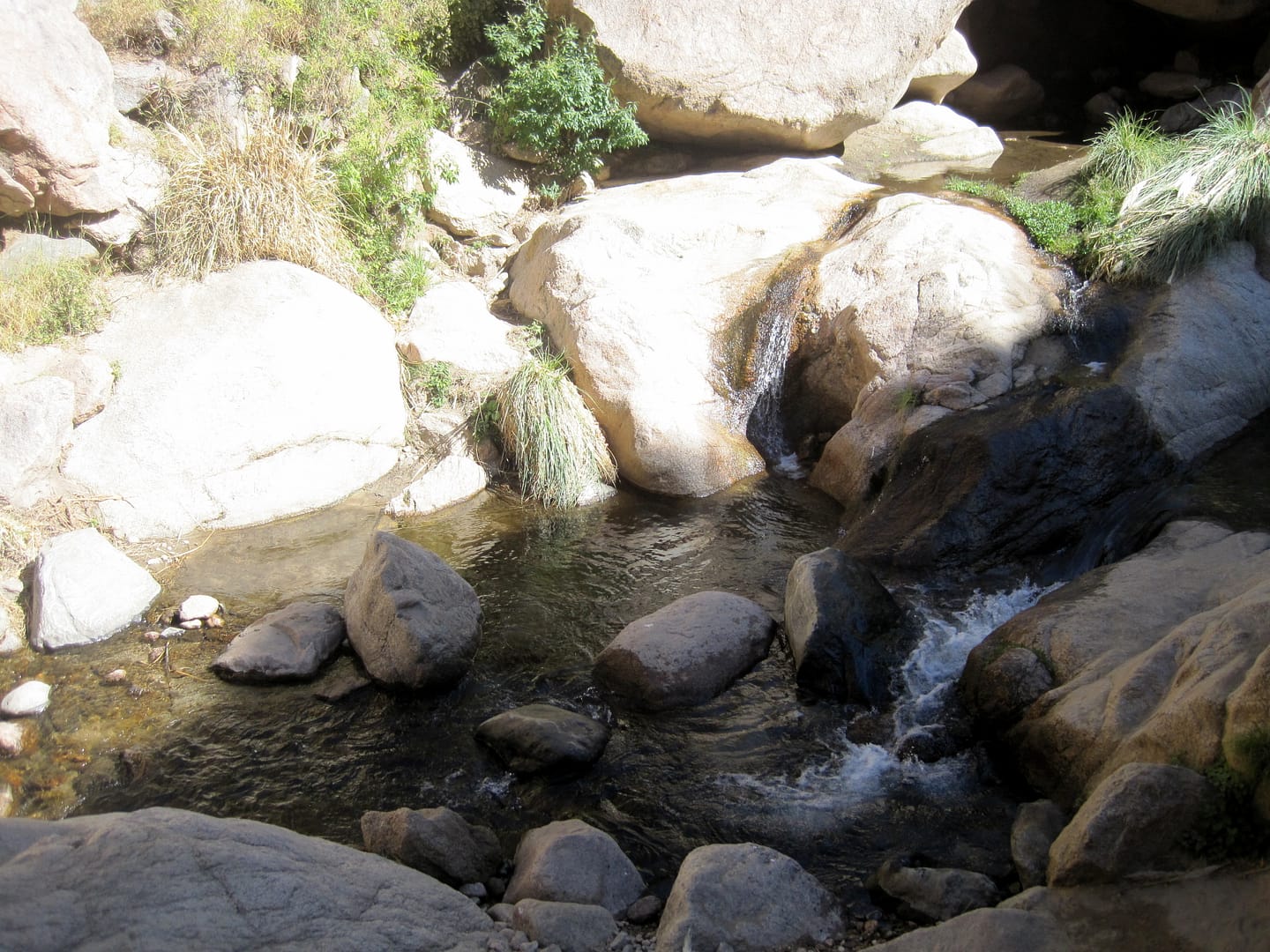 Cafayate