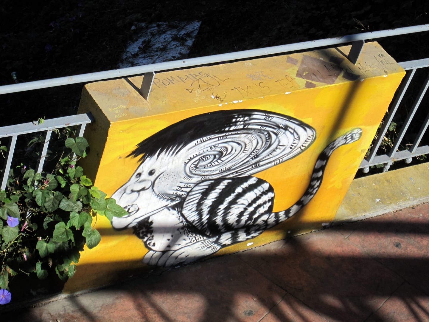Valparaiso Graffiti