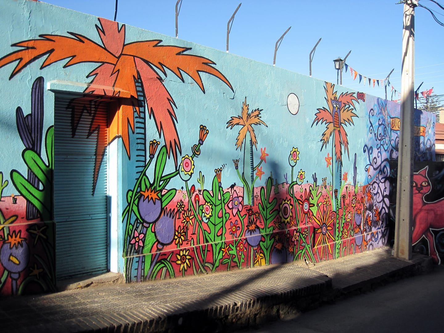 Valparaiso Graffiti
