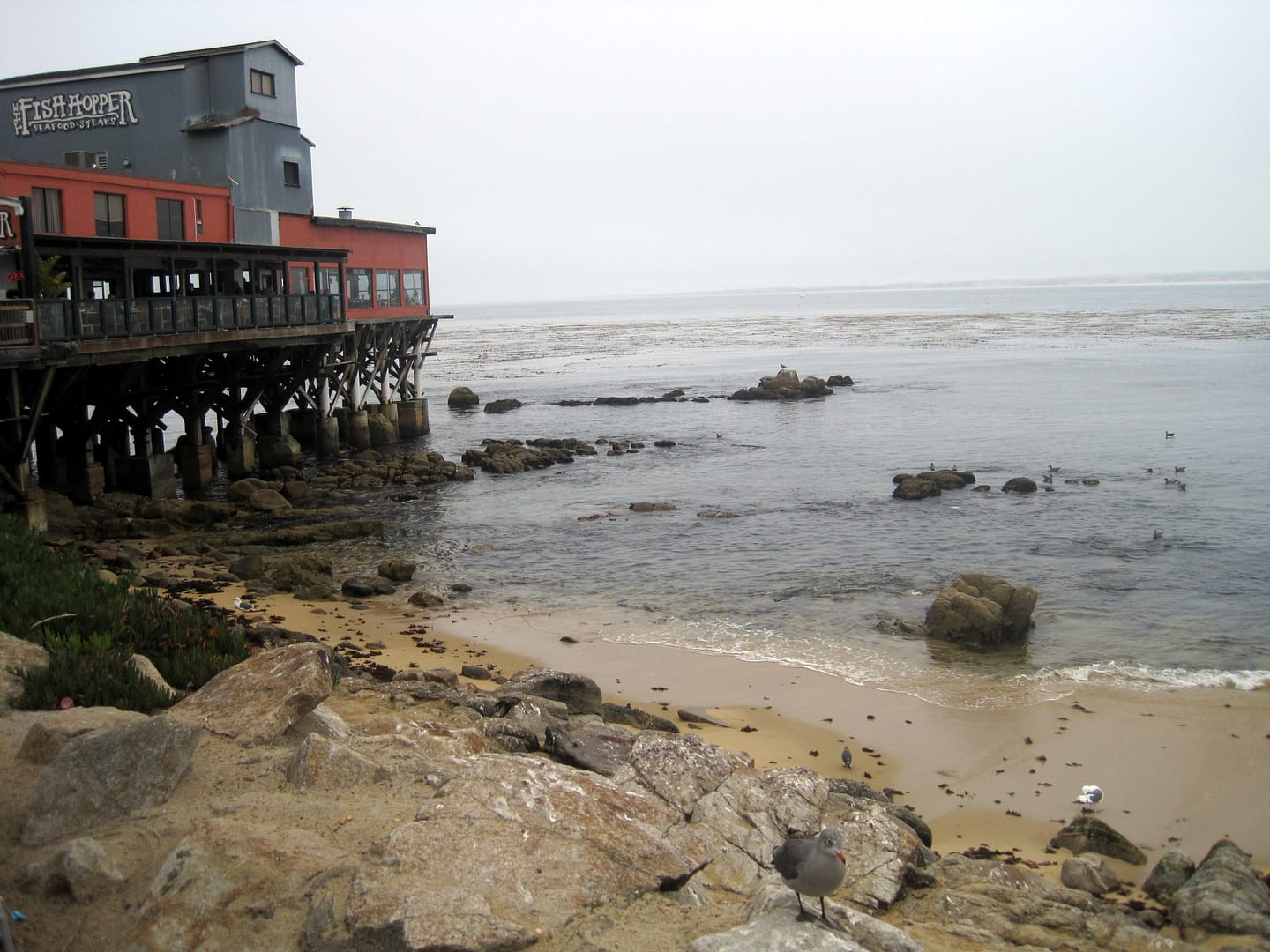 Monterey