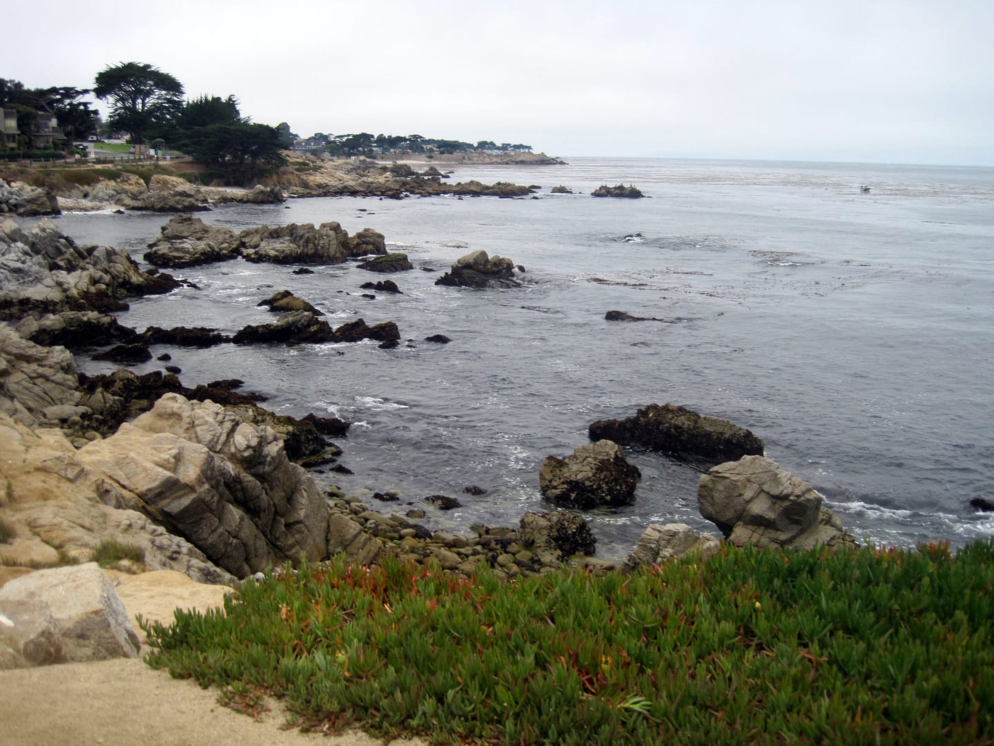 Monterey
