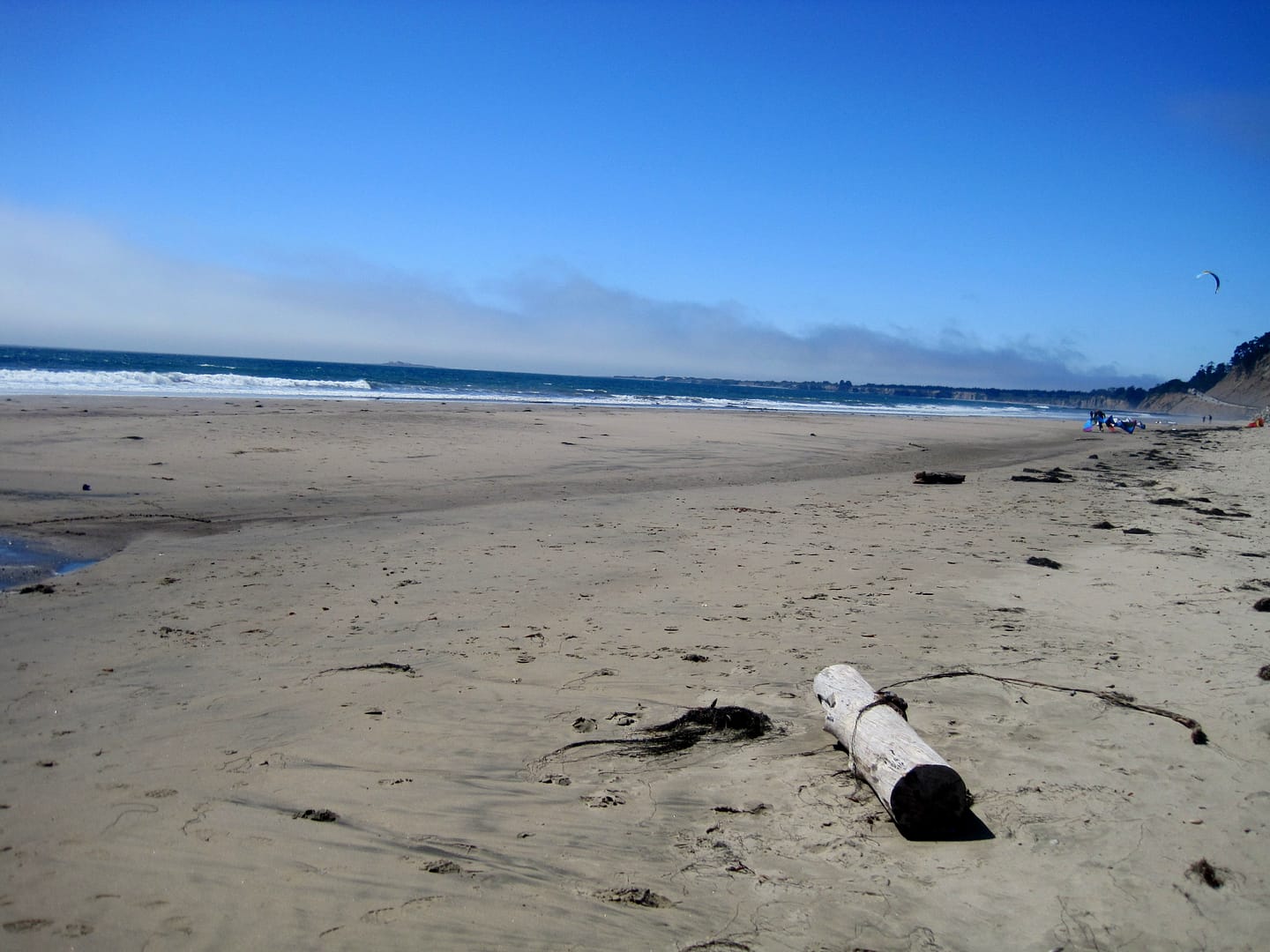 Monterey