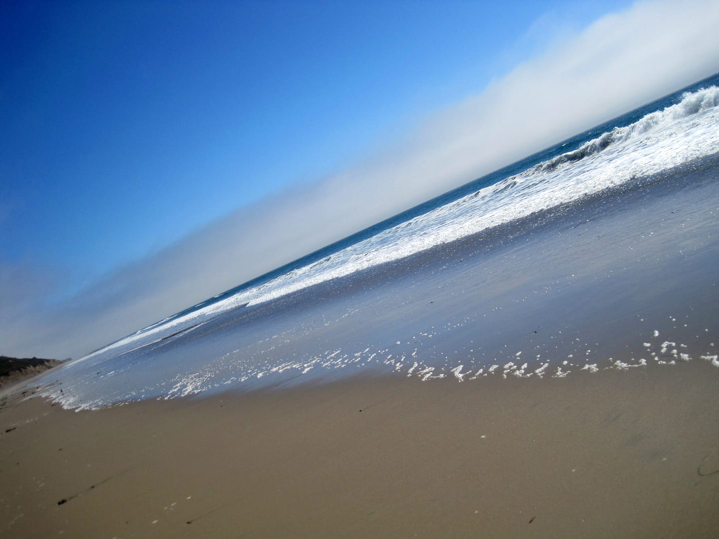Monterey