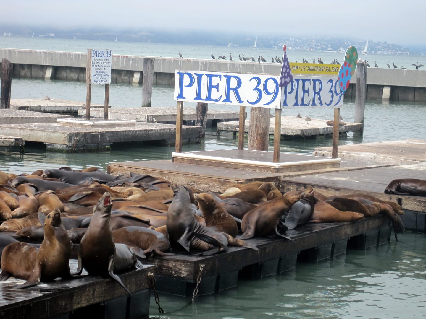 Monterey
