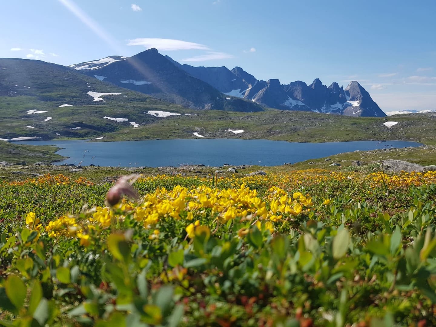 Åsvatnet-See & Sautinden