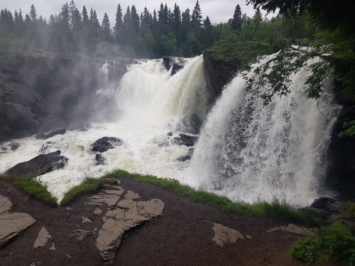 Ristafallet von Westen