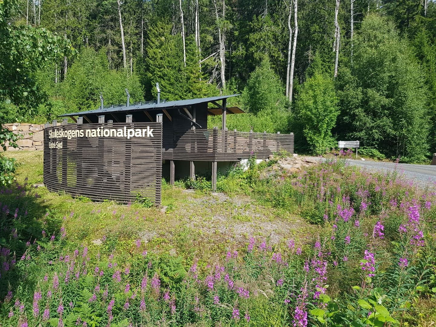 Eingang Süd Skuleskogen Nationalpark
