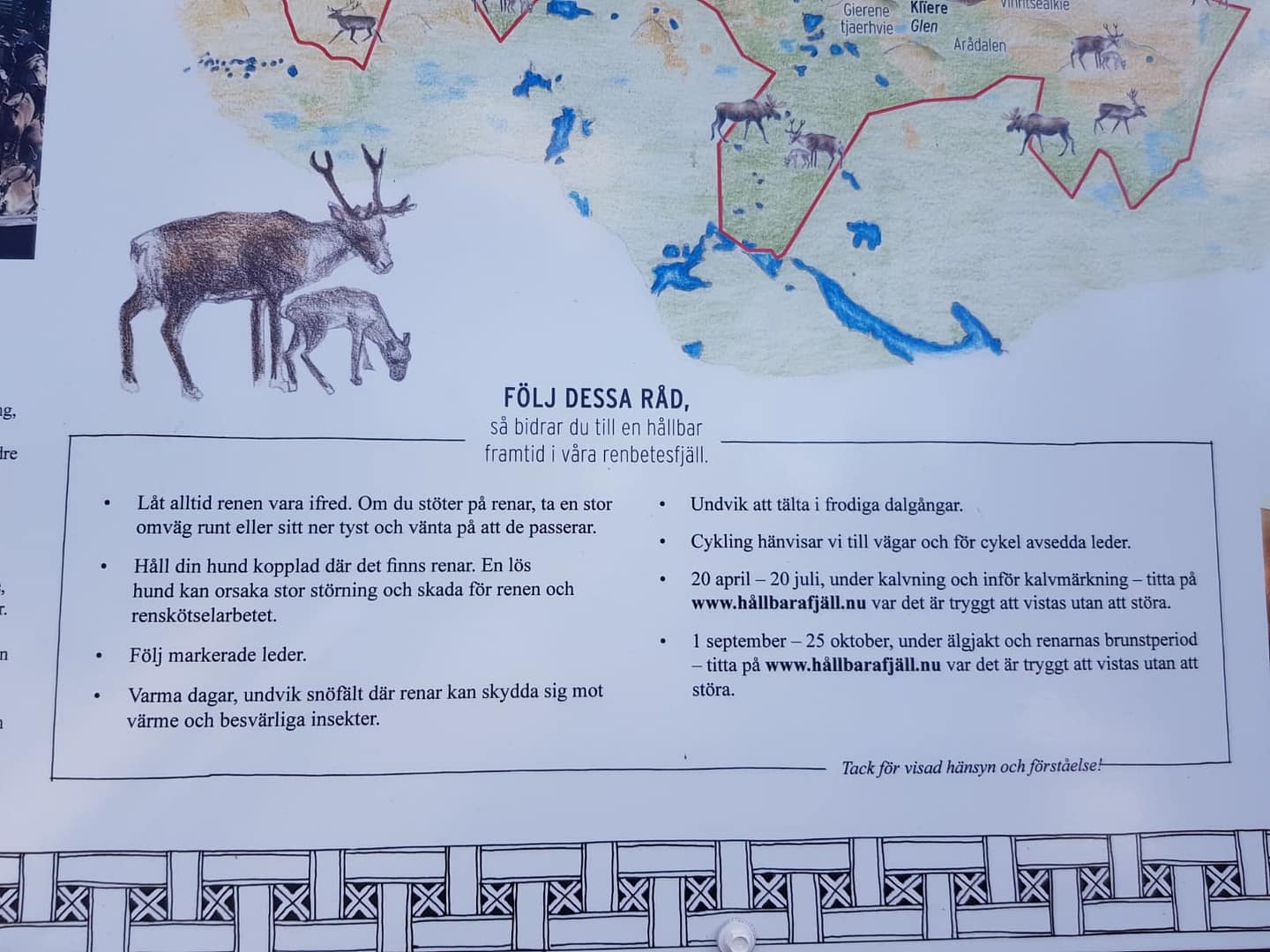 Verhaltensregel um Rentiere herum