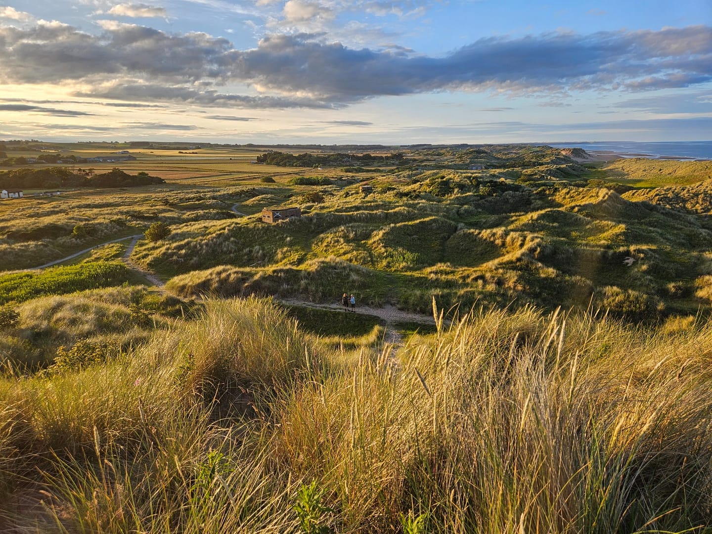 Balmedie Country Park
