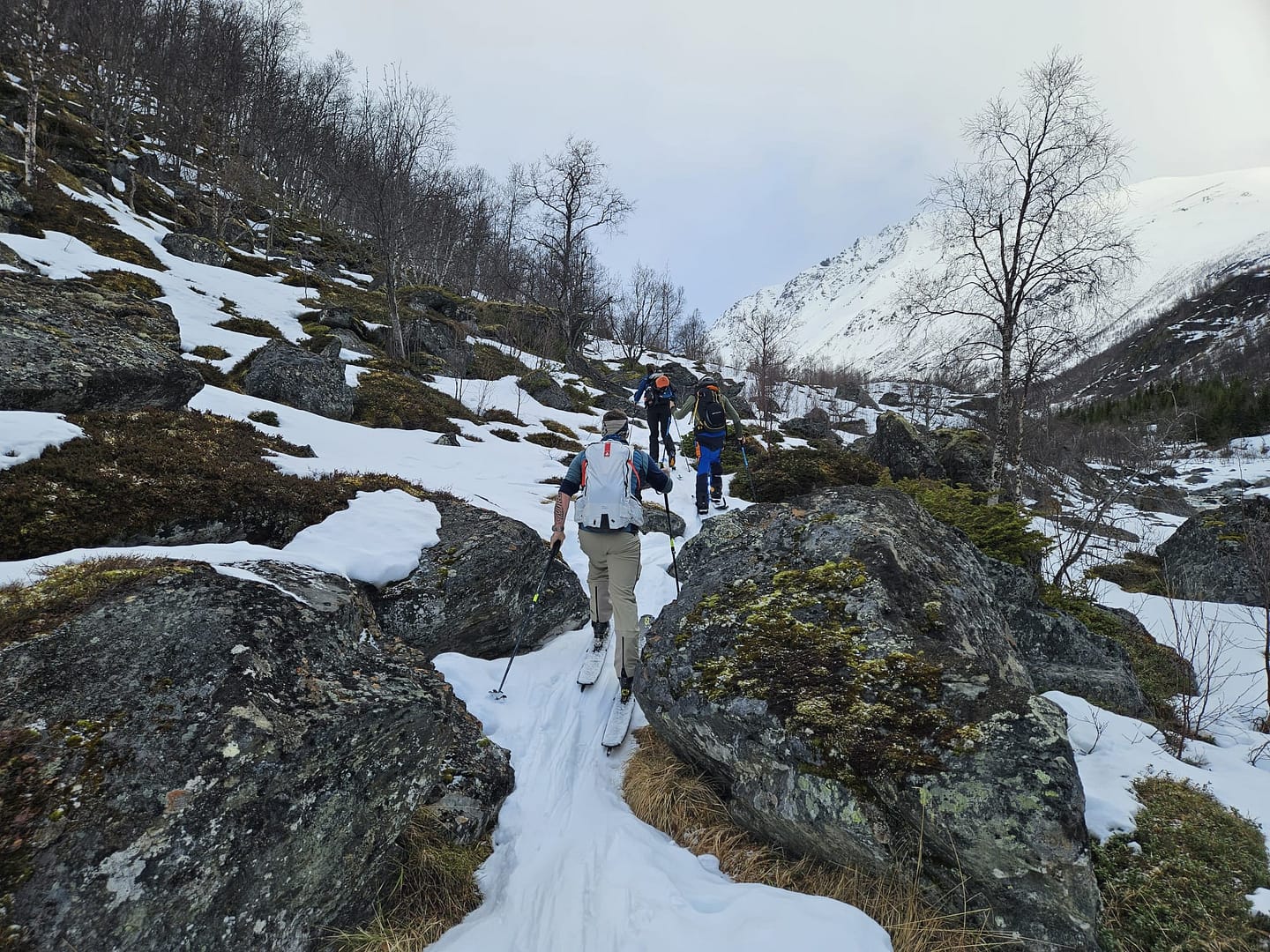 Daltinden 1.520 m (Skitour) Daltinden 1.520 m Skitour 10