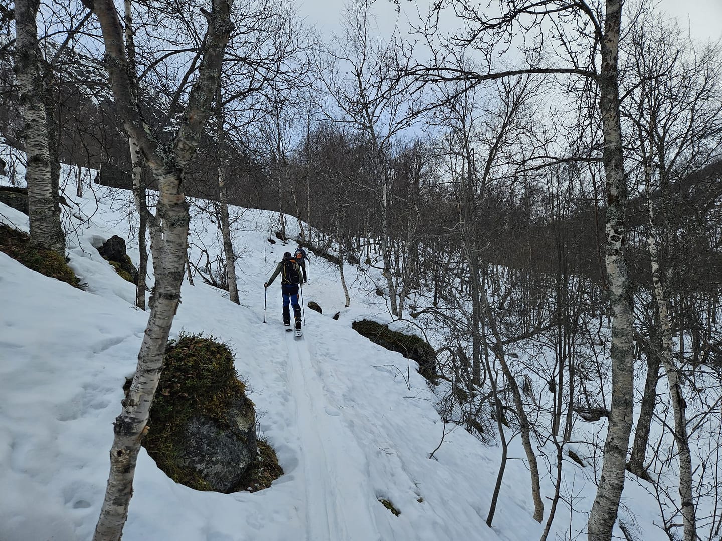 Daltinden 1.520 m (Skitour) Daltinden 1.520 m Skitour 12