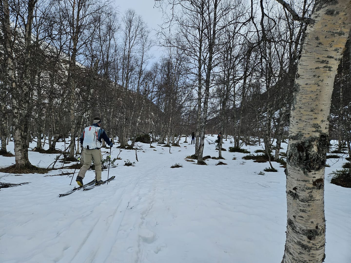 Daltinden 1.520 m (Skitour) Daltinden 1.520 m Skitour 6