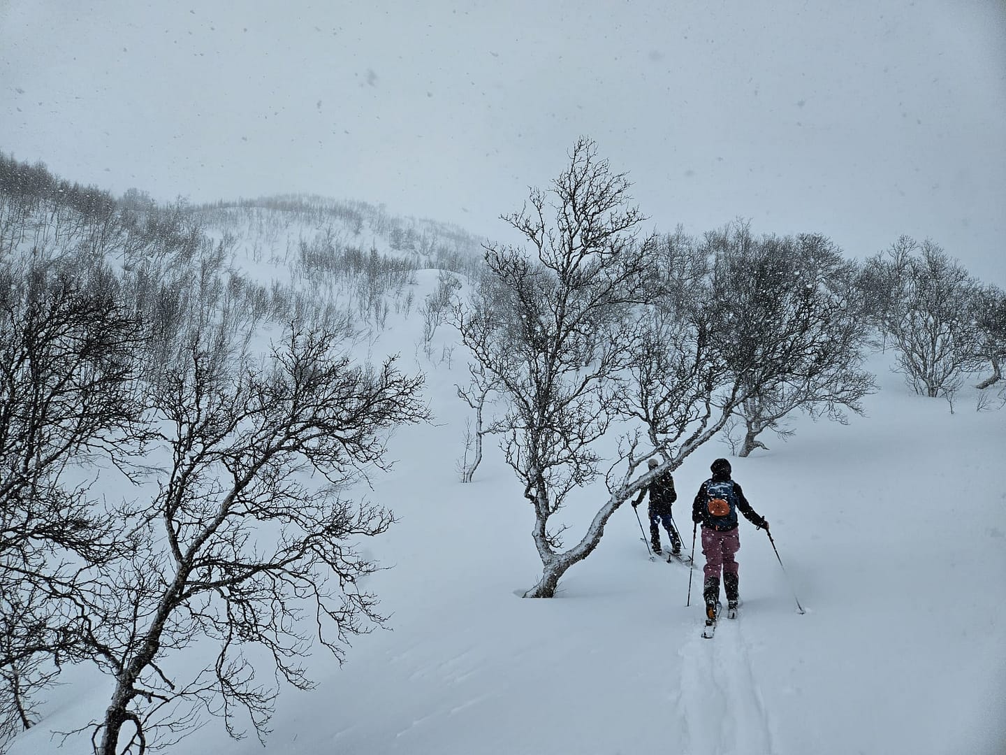 Lyngseidet Langvatnet See 585 m (Skitour) Lyngseidet Langvatnet See 585 m Skitour 11