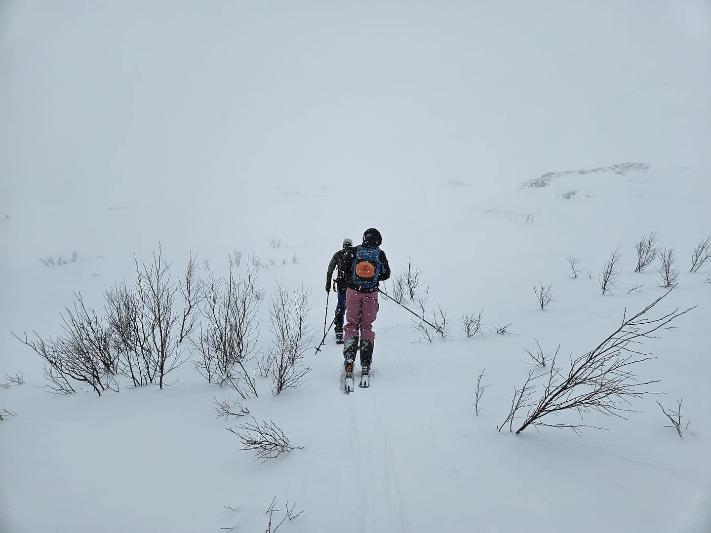 Lyngseidet Langvatnet See 585 m (Skitour) Lyngseidet Langvatnet See 585 m Skitour 13