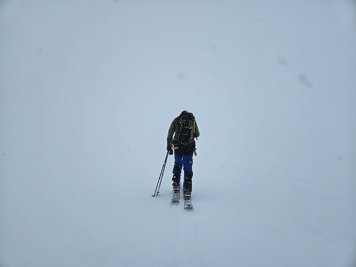 Lyngseidet Langvatnet See 585 m (Skitour) Lyngseidet Langvatnet See 585 m Skitour 14