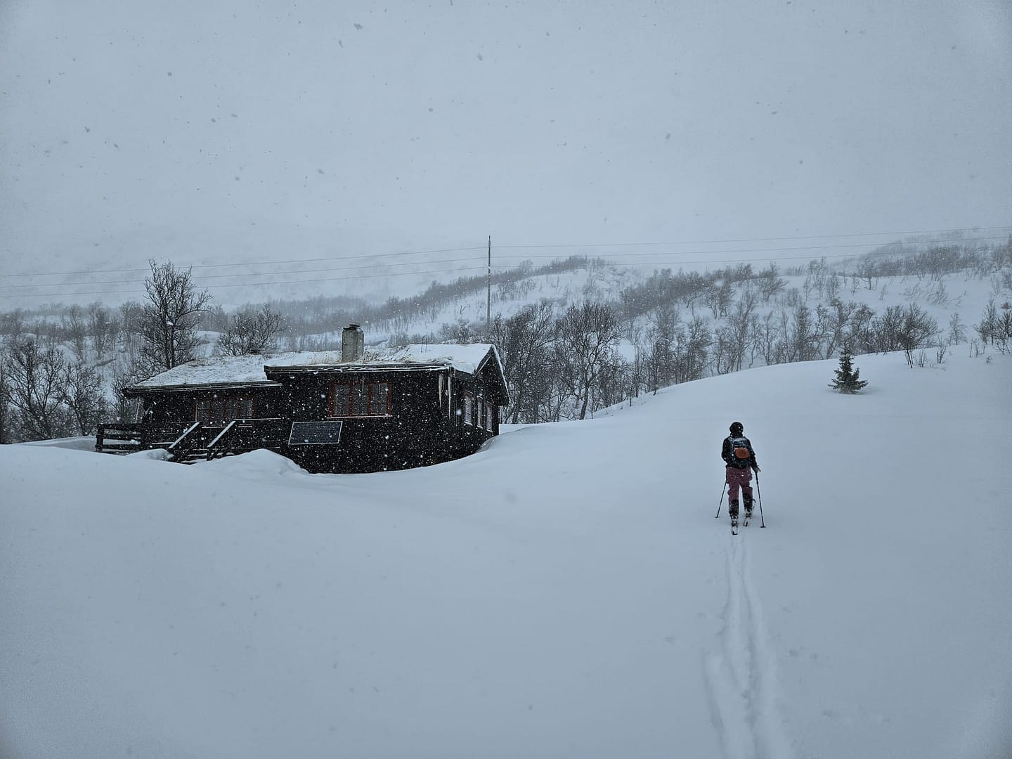 Lyngseidet Langvatnet See 585 m (Skitour) Lyngseidet Langvatnet See 585 m Skitour 15