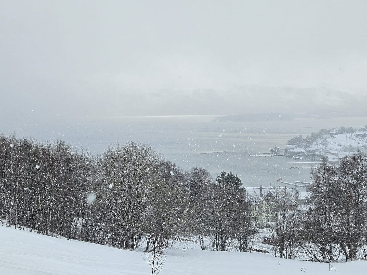 Lyngseidet Langvatnet See 585 m (Skitour) Lyngseidet Langvatnet See 585 m Skitour 2