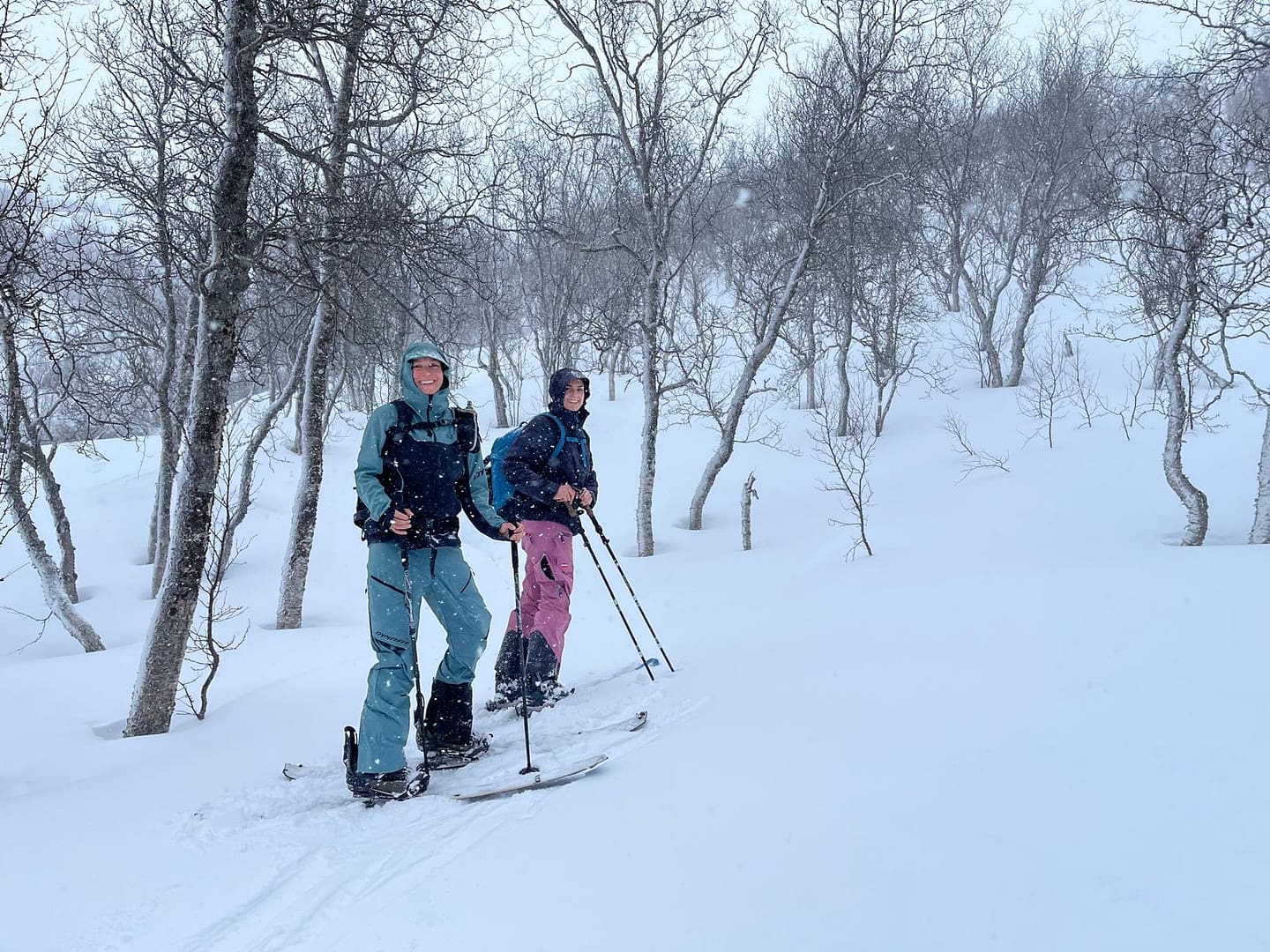 Lyngseidet Langvatnet See 585 m (Skitour) Lyngseidet Langvatnet See 585 m Skitour 3 1