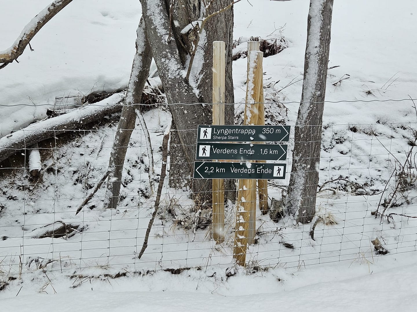 Lyngseidet Langvatnet See 585 m (Skitour) Lyngseidet Langvatnet See 585 m Skitour 3