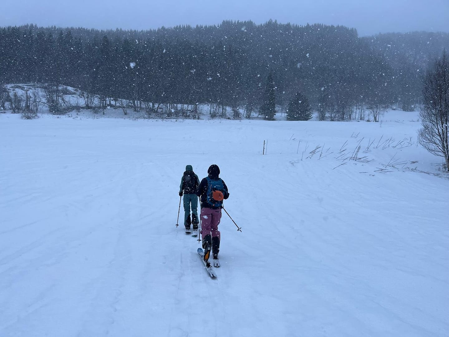 Lyngseidet Langvatnet See 585 m (Skitour) Lyngseidet Langvatnet See 585 m Skitour 4 1