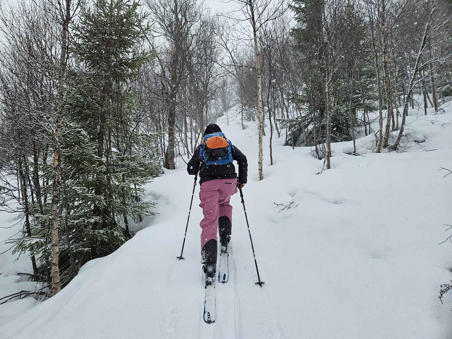 Lyngseidet Langvatnet See 585 m (Skitour) Lyngseidet Langvatnet See 585 m Skitour 6