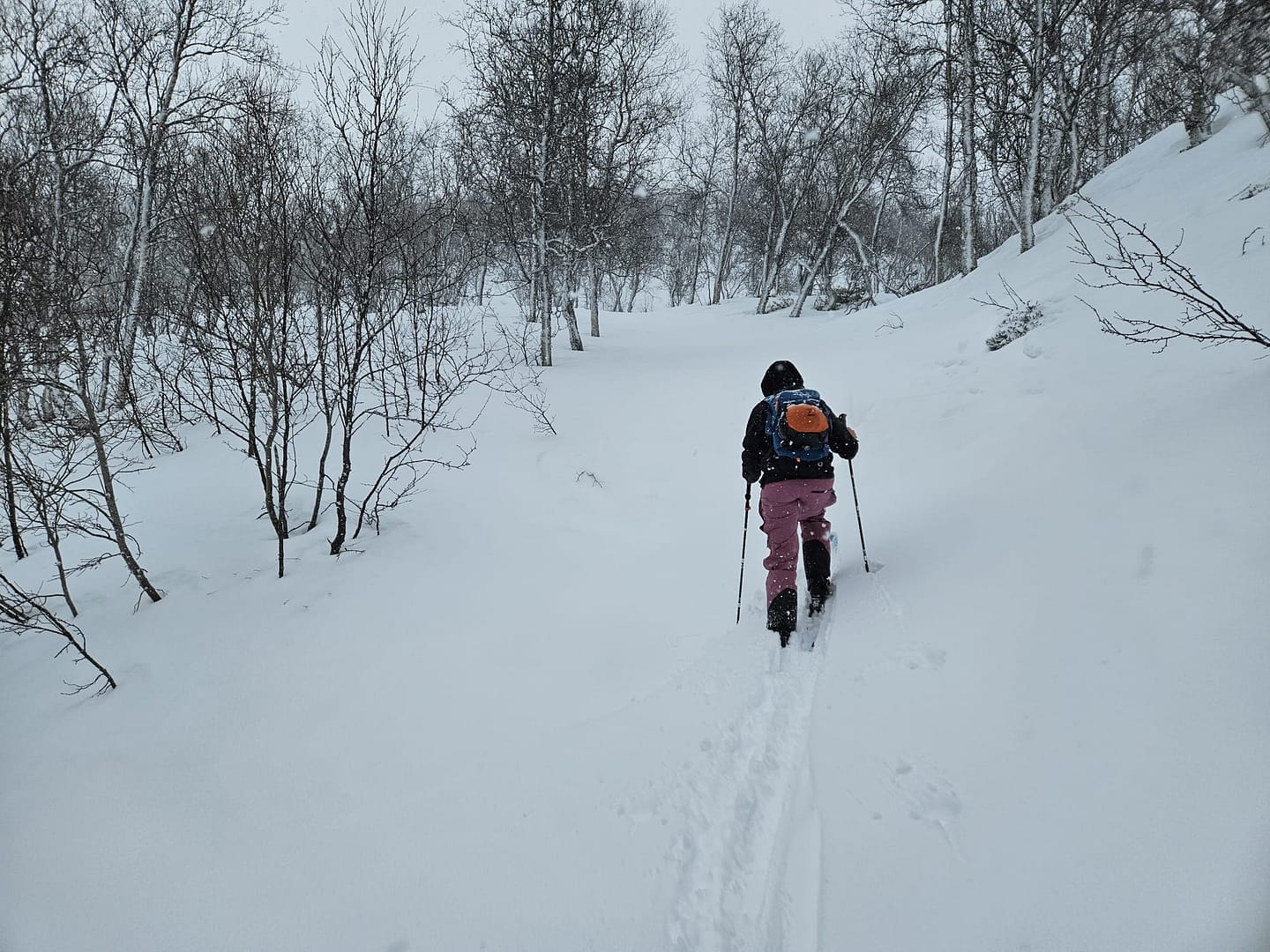Lyngseidet Langvatnet See 585 m (Skitour) Lyngseidet Langvatnet See 585 m Skitour 8