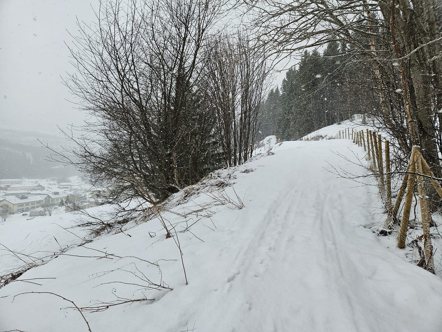 Lyngseidet Langvatnet See 585 m (Skitour) Lyngseidet Langvatnet See 585 m Skitour 9