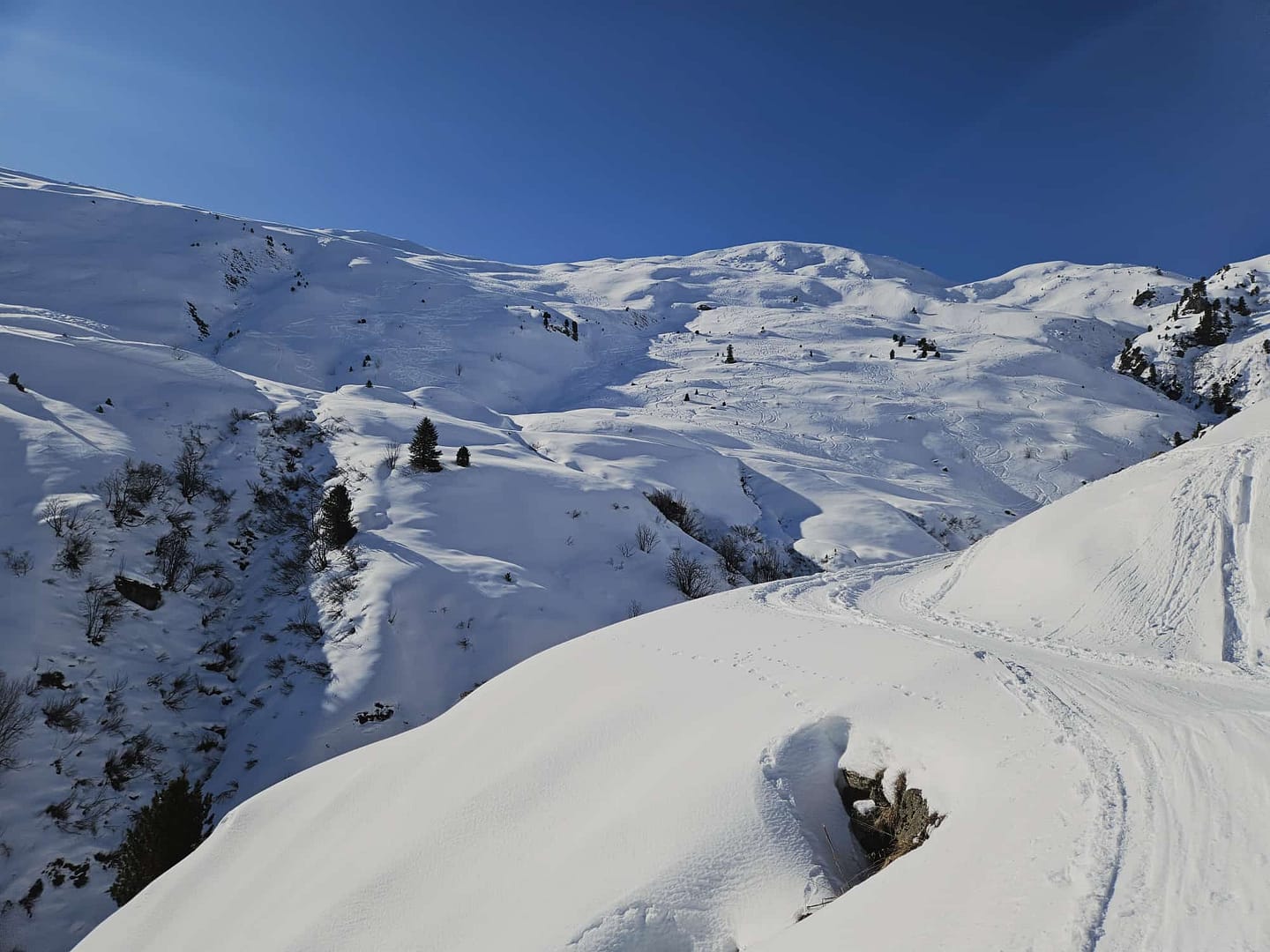 Roßkopf 2576 m (Skitour) Rosskopf 2.576 m Skitour 2