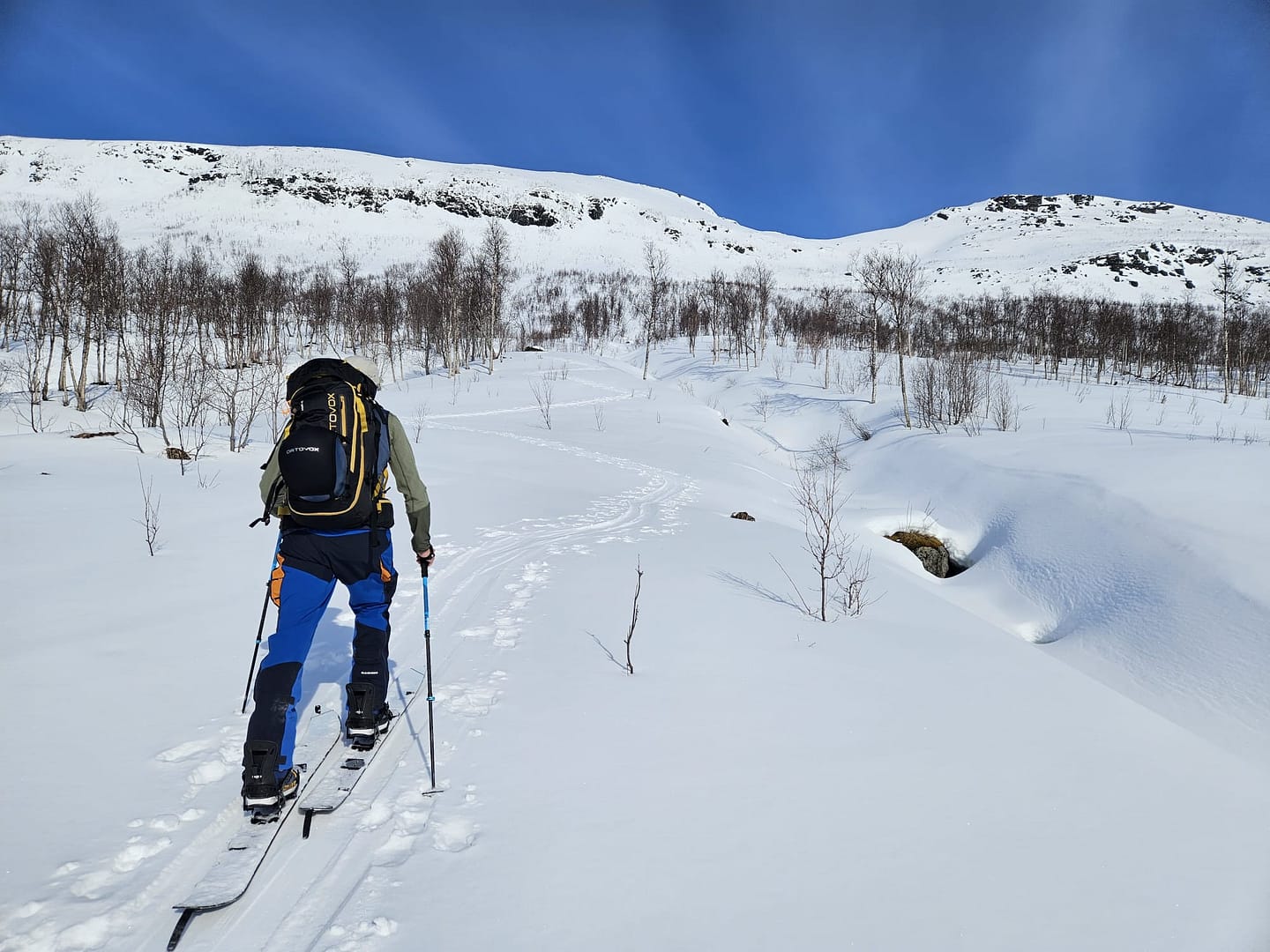 Blåbærtinden 1.442 m (Skitour) Blabaertinden 1.442 m Skitour 1