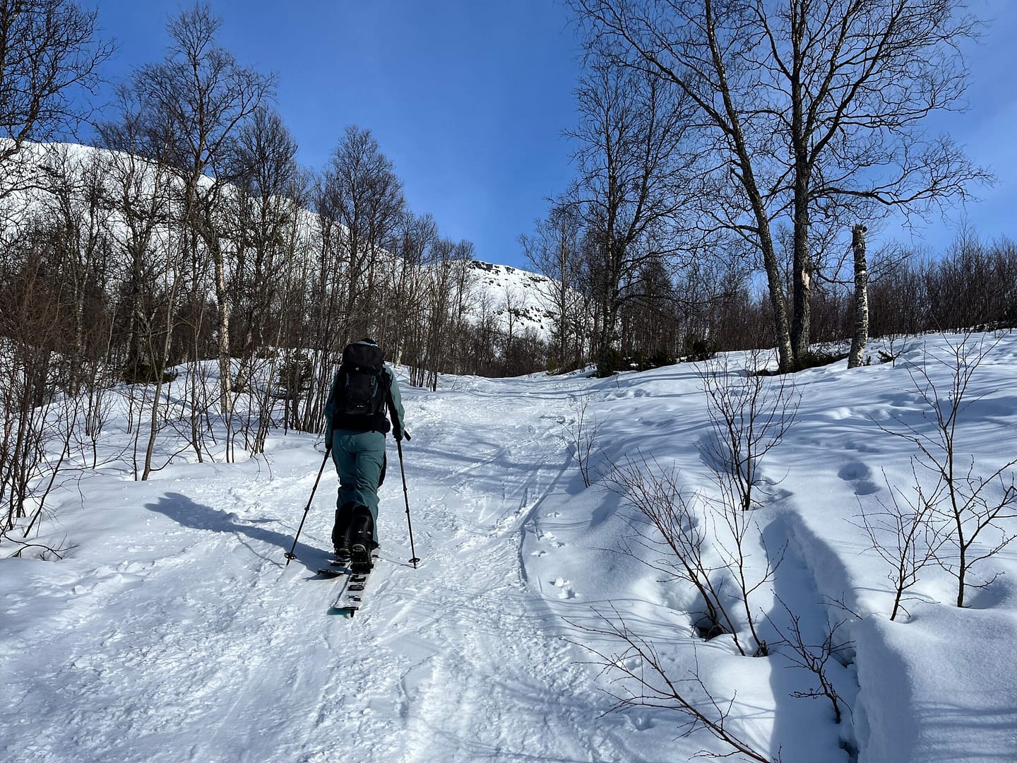 Blåbærtinden 1.442 m (Skitour) Blabaertinden 1.442 m Skitour 10 scaled