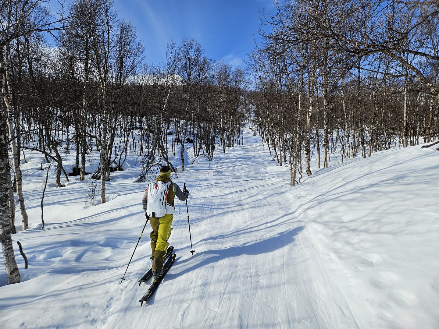 Golsavaare 1.289 (Skitour) - Versuch Golsavaare 1.289 Skitour Versuch 23