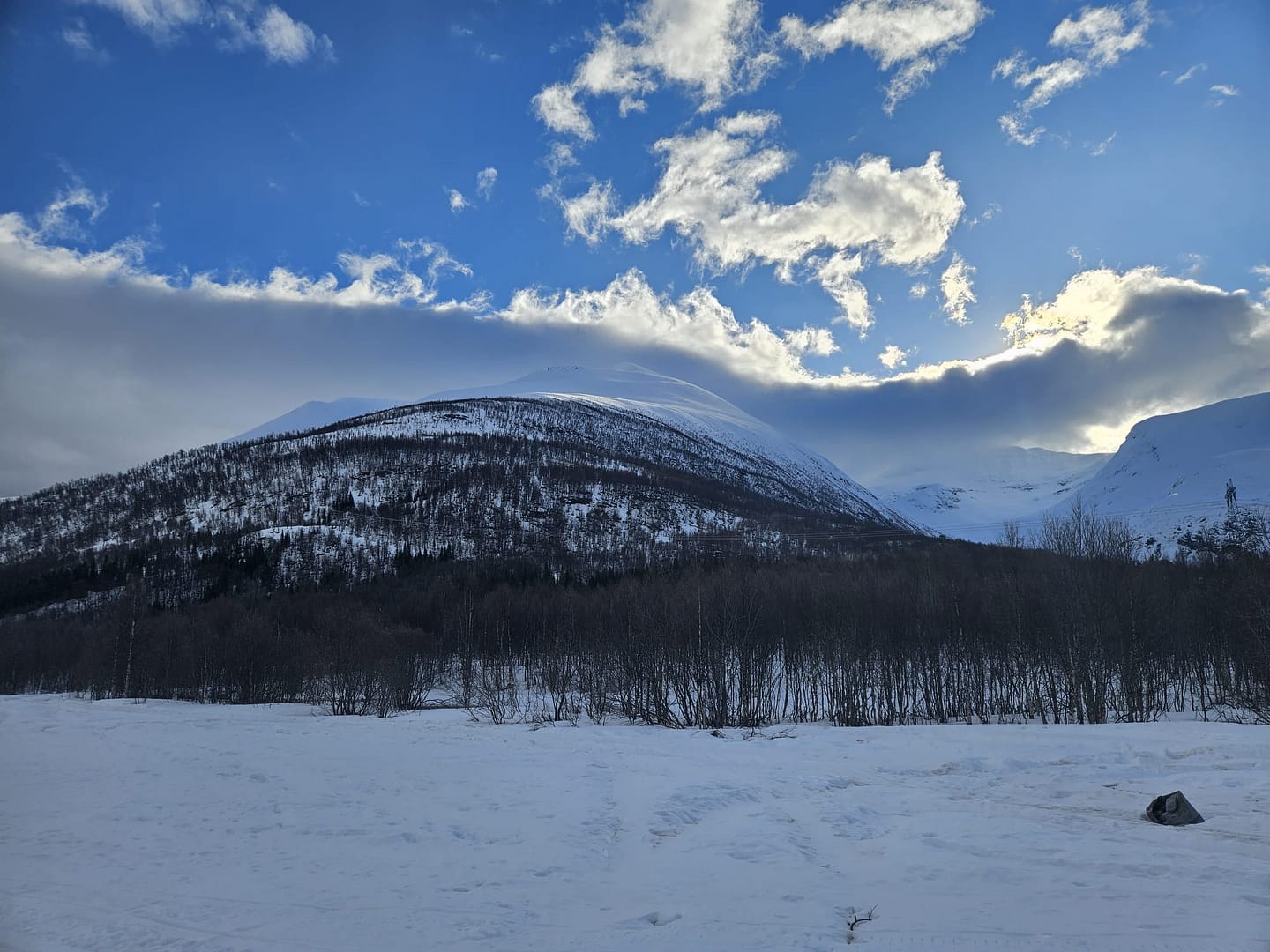 Sorfjellet 1.480 m (Skitour) Sorfjellet Sorfjelltinden 1.480 m Skitour 2