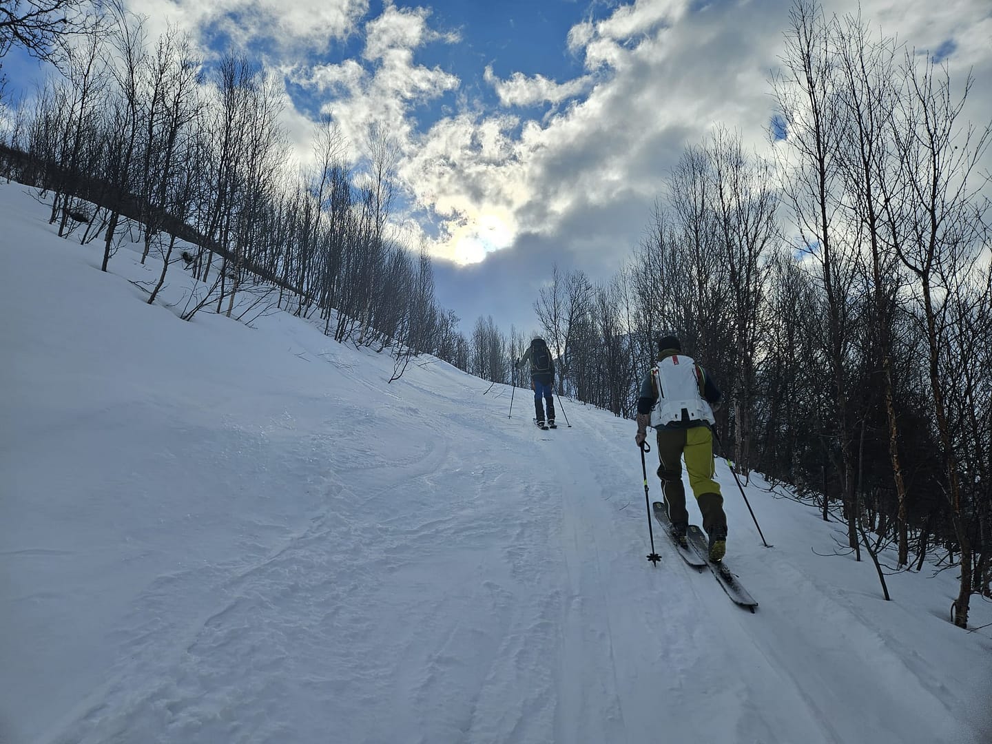 Sorfjellet 1.480 m (Skitour) Sorfjellet Sorfjelltinden 1.480 m Skitour 3