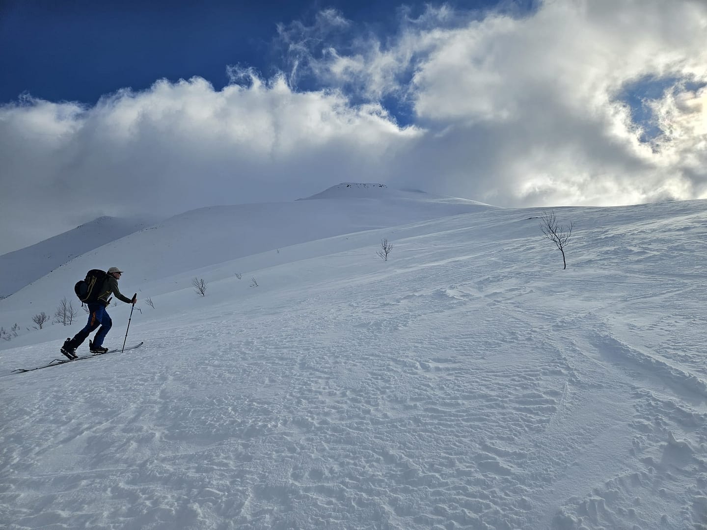 Sorfjellet 1.480 m (Skitour) Sorfjellet Sorfjelltinden 1.480 m Skitour 5